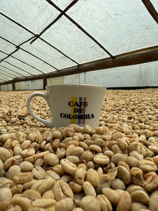 Why Coffee Traceability Matters: Discover Real Specialty Coffee